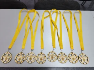 роекты наградного материала для конкурса "Хахатон мини-проектов"